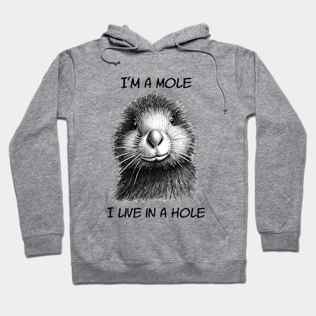 Mole In A Hole Hoodie by ArtShare